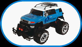 10th Toyota FJ Cruiser